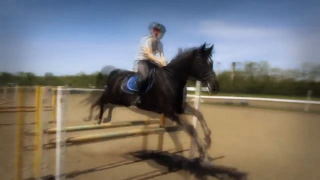 Russian Horse training смотреть онлайн