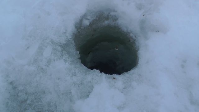 Ловля крупного окуня на безмотыльную мормышку смотреть онлайн
