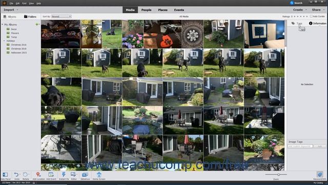 Photoshop Elements 2020 Tutorial Searching & Finding Your Images Adobe Training смотреть онлайн