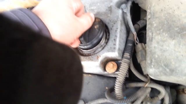 Газель штайер Дзержинск Нижний Новгород смотреть онлайн