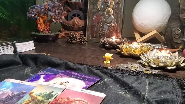 ВАШ НАСТАВНИК-ДИАПАЗОН вариант желтый котик #оракул#siraya