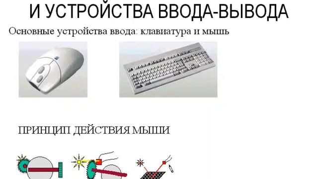Состав компьютера. Устройства ввода. Урок 69 смотреть онлайн