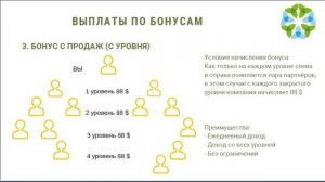 Маркетинг план Greenleaf Гринлиф 10 мин  со слайдами