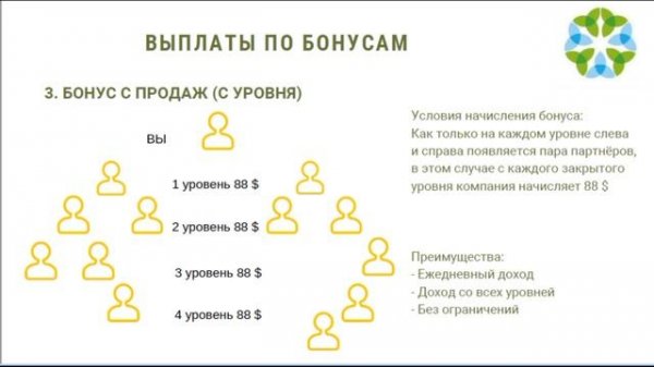 Маркетинг план Greenleaf Гринлиф 10 мин  со слайдами