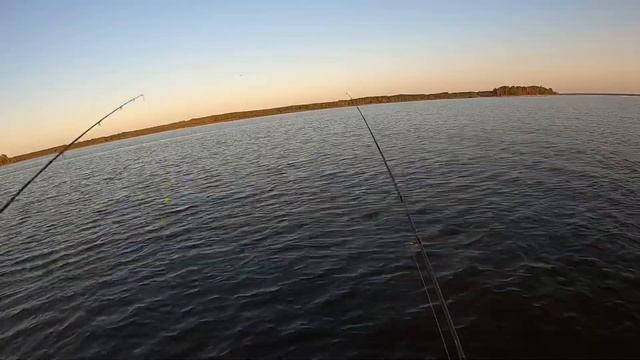 Активный клёв окуня на Рыбинском вдхр смотреть онлайн