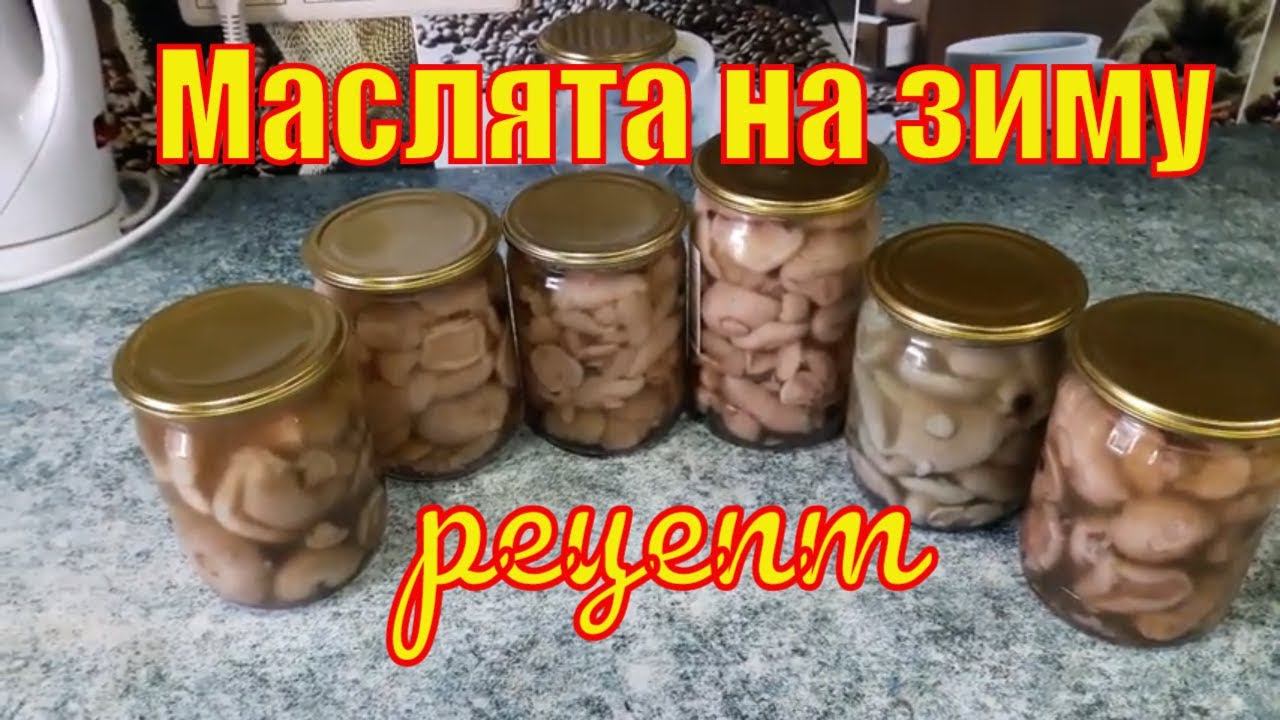 Маринованные маслята на зиму Рецепт от Зауральского подворья смотреть онлайн