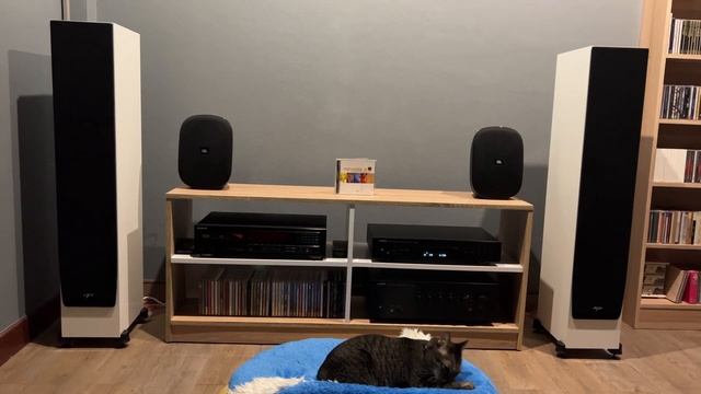 Paradigm monitor SE 3000F смотреть онлайн