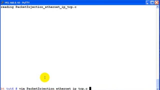 Tcp Packet Injection (2) смотреть онлайн