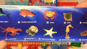 Мега Распаковка Сюрпризов из Различных Серий