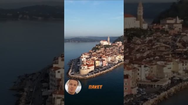 ВНЖ Словении 79154407070