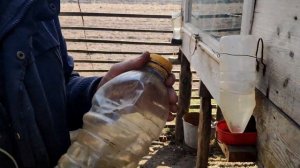 Кормушки и поилки для кроликов своими руками