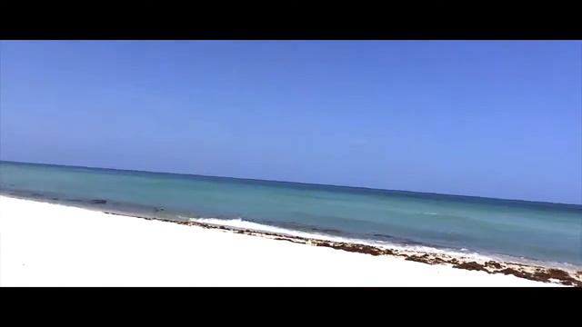Photo Miami. Ocean Inside. Океан внутри или мысли хорошего дня. смотреть онлайн