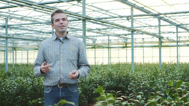 Uitzicht door inzicht II - Kompas voor sleutelmomenten смотреть онлайн