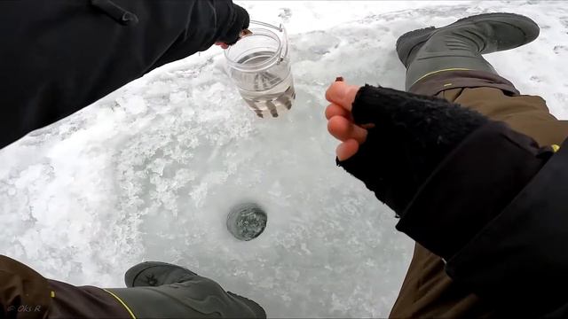 Ловля плотвы в начале марта смотреть онлайн