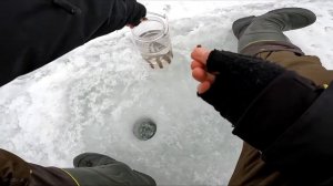 Ловля плотвы в начале марта