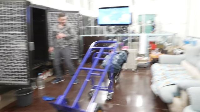 Поздравления с ПОЧТИ 8 МАРТА | Подарок для волосатой женщины | Шимпанзе Боня и новый ВЛОГ 106 смотреть онлайн