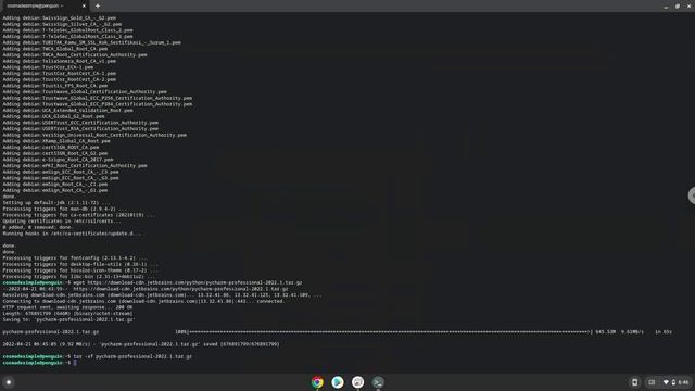 How to install PyCharm 2022 Professional Edition on a Chromebook смотреть онлайн