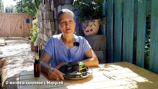 УНИКАЛЬНЫЙ СОРНЯК В ОГОРОД ДЛЯ СОХРАНЕНИЯ ЗДОРОВЬЯ ДОЛГОЛЕТИЯ АМАРАНТ@natureMarusya смотреть онлайн