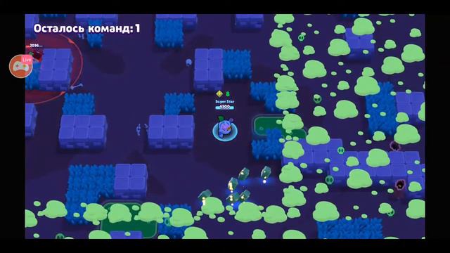 стрим бравл старс под музыку апаем ворона на на 300 кубков STRIM BRAWL STARS смотреть онлайн