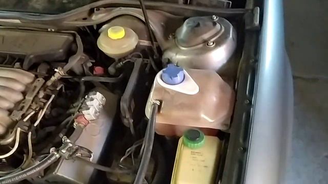 Мастерство и Талант в Действии