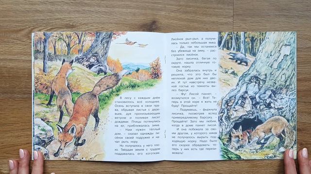 Приключения лисёнка. Читаем детям. Серия Познаем мир вокруг нас. смотреть онлайн