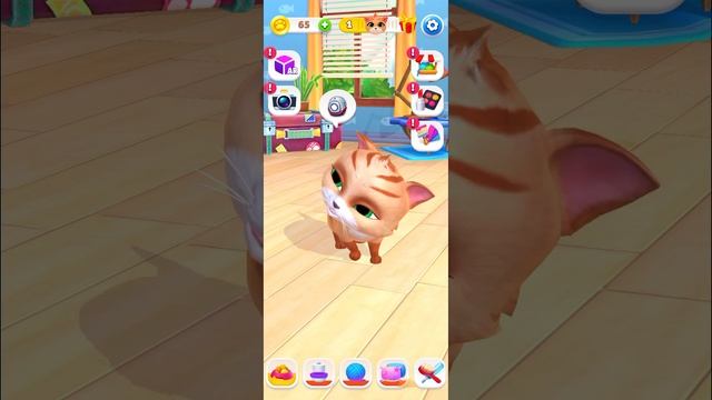 My Cat Game Simulator Gameplay- Walkthrough- смотреть онлайн