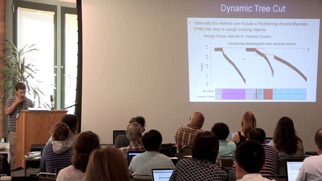 Hierarchical Clustering and Dynamic Branch Cutting by Peter Langfelder, UCLA смотреть онлайн