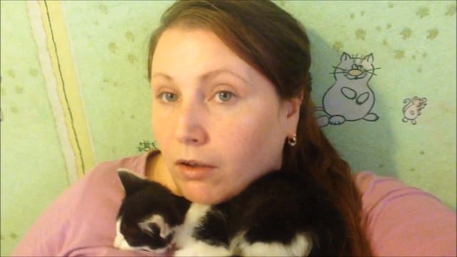 Отвечаю на вопросы о животных \ Люди выбрасывают животных как мусор смотреть онлайн