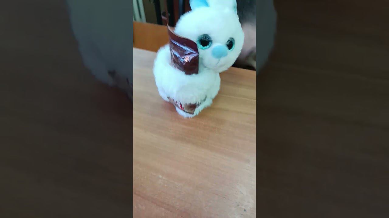 27 ноября 2023 г. смотреть онлайн