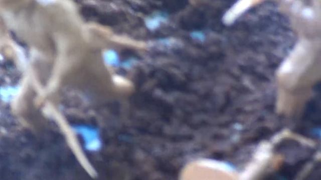 мой первый макет из моделей от фирмы ZVEZDA смотреть онлайн