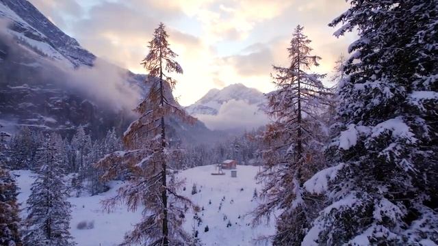 Ультра Расслабляющая Музыка • Чтобы Успокоить Разум, Перестать Думать Музыка Для Сна, Души и Тела смотреть онлайн