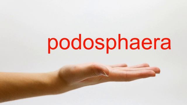 How to Pronounce podosphaera - American English смотреть онлайн