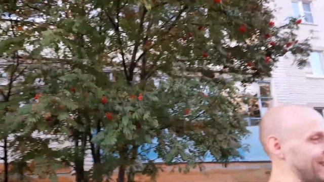 #Дзержинск#Кикбоксинг VLOG Говорящий ПОПУГАЙ! ? смотреть онлайн