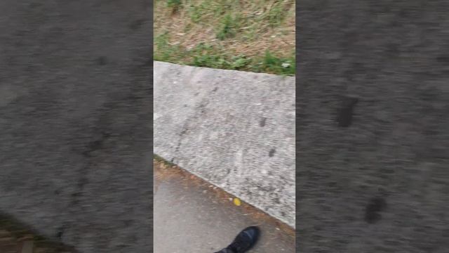 Красивая подача супа ???