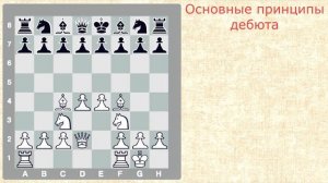 ОСНОВНЫЕ ДЕБЮТНЫЕ ПРИНЦИПЫ |  уроки шахмат | видеоурок для начинающих