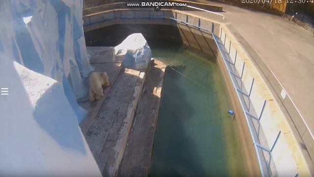 Кай спит 18.04.2020 смотреть онлайн