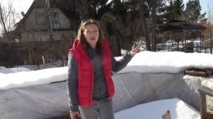 НЕ ОТКРЫВАЙТЕ РОЗЫ СЛИШКОМ РАНО! КОГДА ОТКРЫВАТЬ РОЗЫ ВЕСНОЙ ???