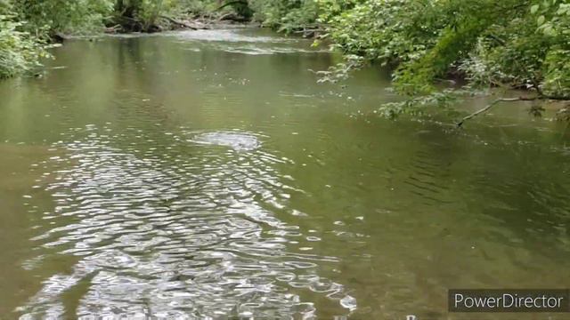 Хариус на паралон в июне. Маленьких ленков отпускаем, больших ловим. смотреть онлайн