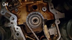 Замена цепи ГРМ на Ниссан Кашкай/Nissan Qashqai 2.0 - подробное видео с комментариями