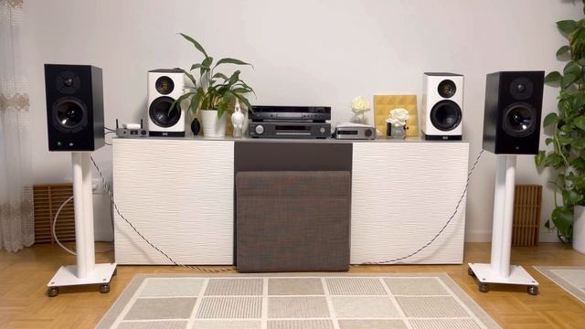 TOTEM Acoustic KIN-Play ? My Experience смотреть онлайн