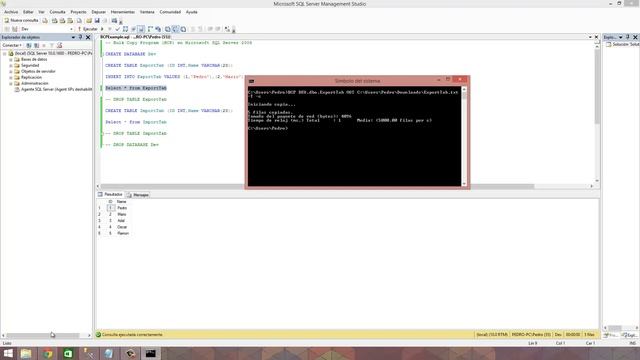 Bulk Copy Program (BCP) en Microsoft SQL Server 2008 смотреть онлайн
