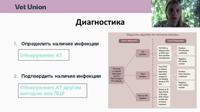 Вирусный иммунодефицит кошек смотреть онлайн