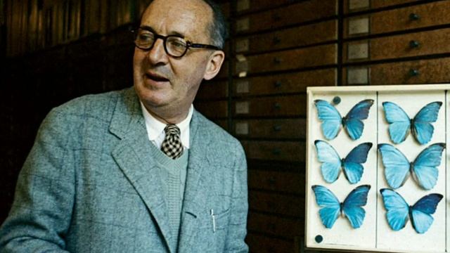 Владимир Набоков