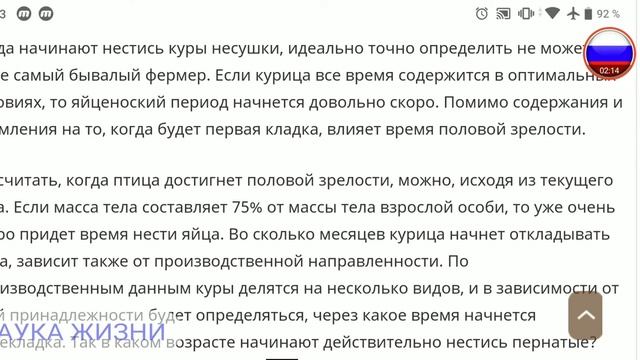 Когда курица начинает нестись смотреть онлайн