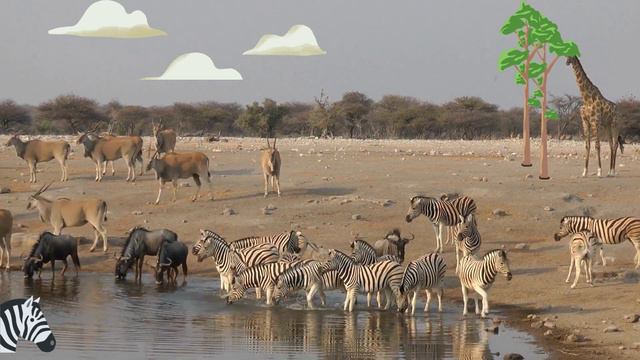 @CocoNutFun Zebra | Fun Learning | Fun Facts | Storytelling | Learn your Animals смотреть онлайн