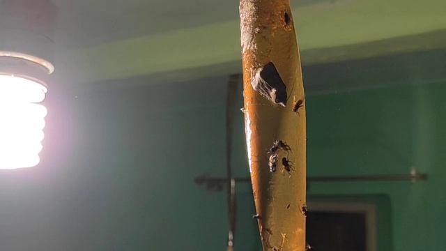 Строительный Поиск