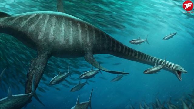 Посмотрите, Дайвер Снял на Камеру ТО, Что НИКТО НЕ ДОЛЖЕН был увидеть! смотреть онлайн