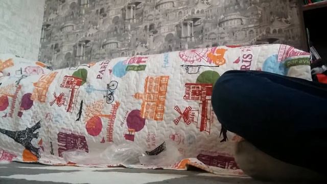 Покупки из ЗООмагазина. Тося и Арси. Йокшерские терьеры. смотреть онлайн