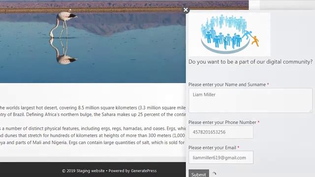 Popup Forms Builder Add-on | WordPress смотреть онлайн