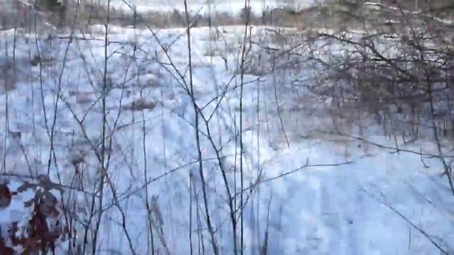 Остров Любви - Mīlestības Saliņa 1.03.2018.